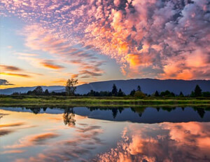 -国内足球赛场最新战况全方位报道