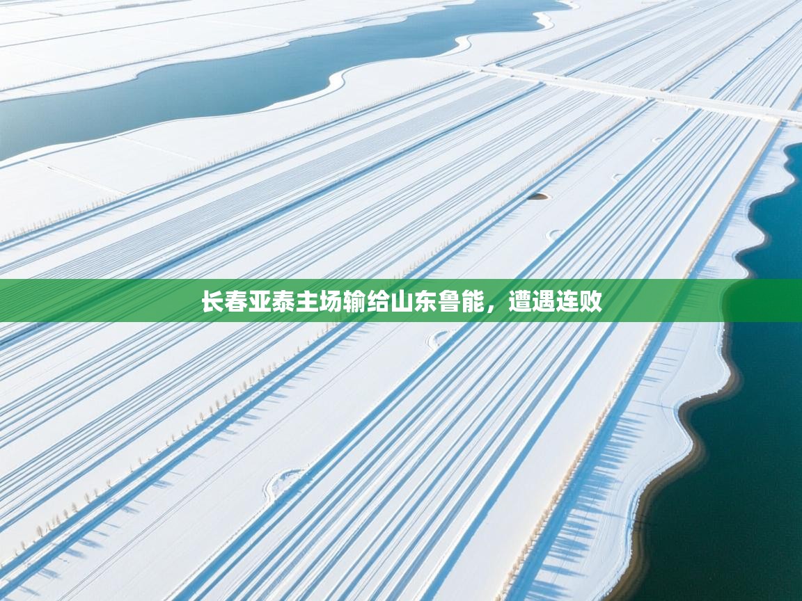 开云入口-长春亚泰主场输给山东鲁能，遭遇连败  第1张