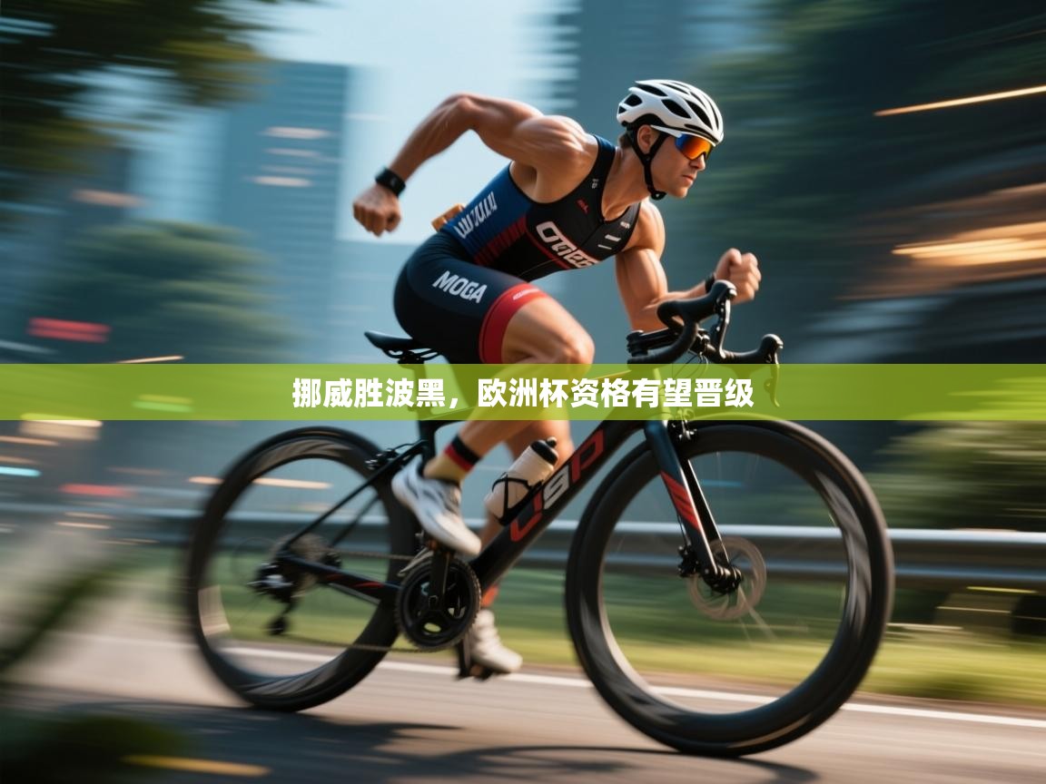 开云体育app官网-挪威胜波黑，欧洲杯资格有望晋级  第3张