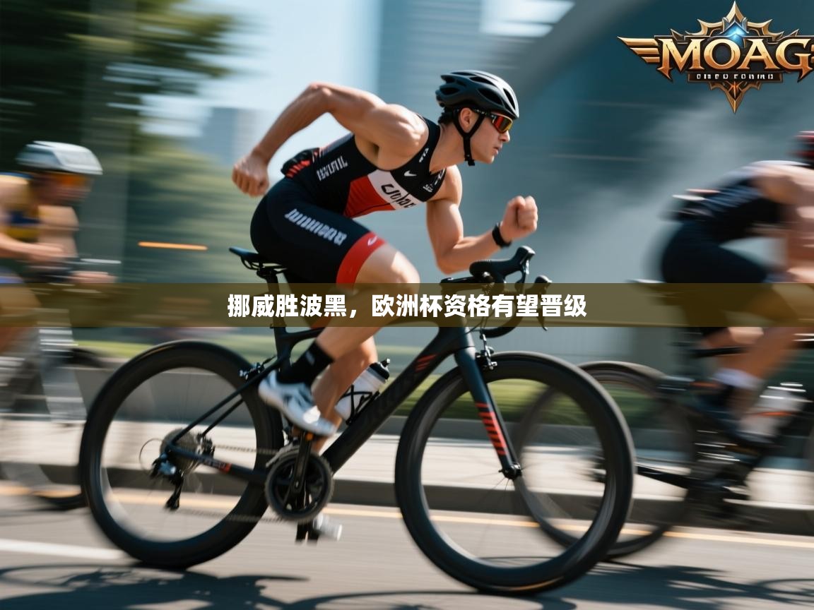 开云体育app官网-挪威胜波黑，欧洲杯资格有望晋级  第4张