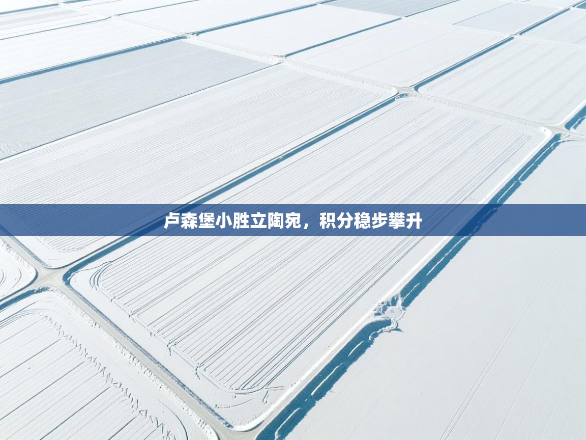 开云体育推送通知设置-卢森堡小胜立陶宛，积分稳步攀升  第1张