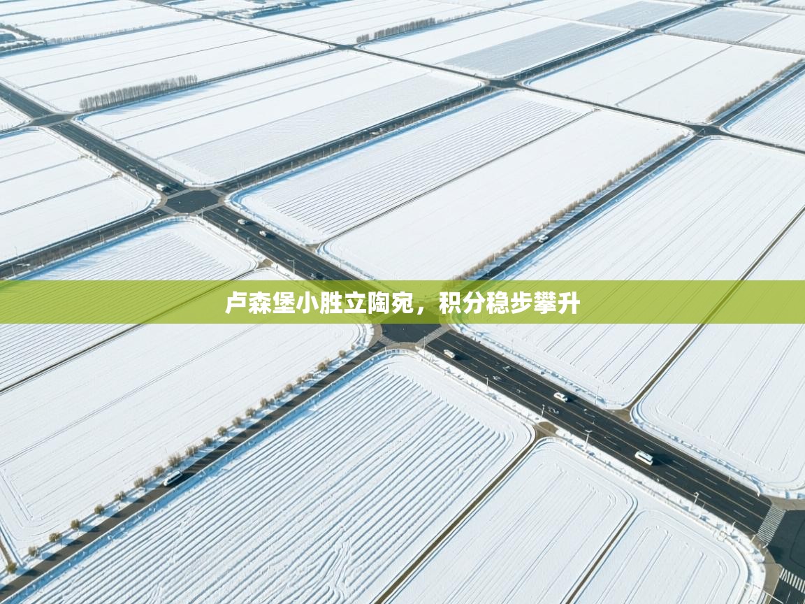 开云体育推送通知设置-卢森堡小胜立陶宛，积分稳步攀升  第3张