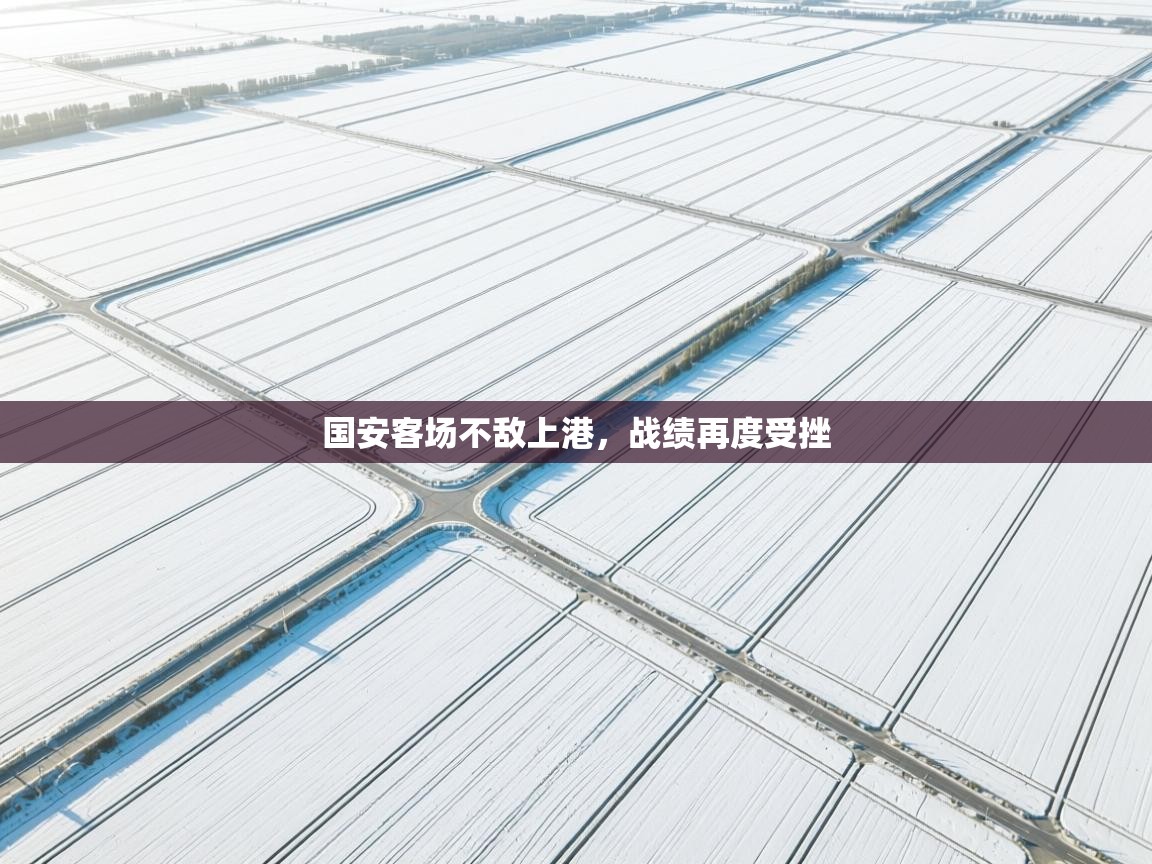 开云下载-国安客场不敌上港,战绩再度受挫 第3张